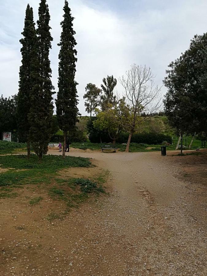 Spacious Apartment Near Acropolis With Roof Garden Atina Dış mekan fotoğraf