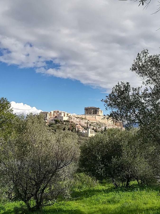 Spacious Apartment Near Acropolis With Roof Garden Atina Dış mekan fotoğraf