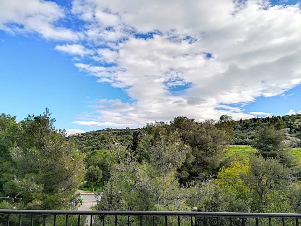 Spacious Apartment Near Acropolis With Roof Garden Atina Dış mekan fotoğraf