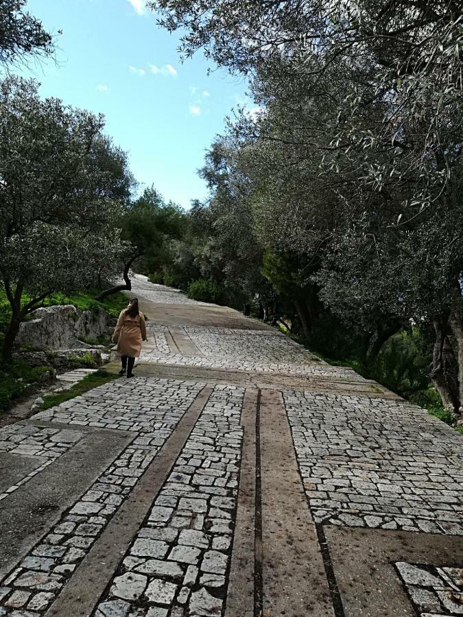 Spacious Apartment Near Acropolis With Roof Garden Atina Dış mekan fotoğraf