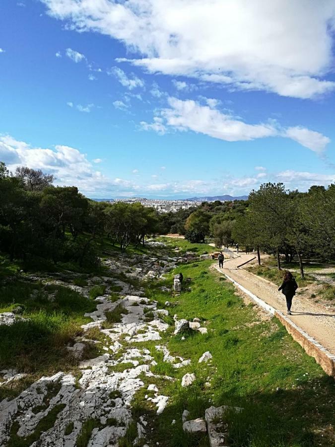 Spacious Apartment Near Acropolis With Roof Garden Atina Dış mekan fotoğraf